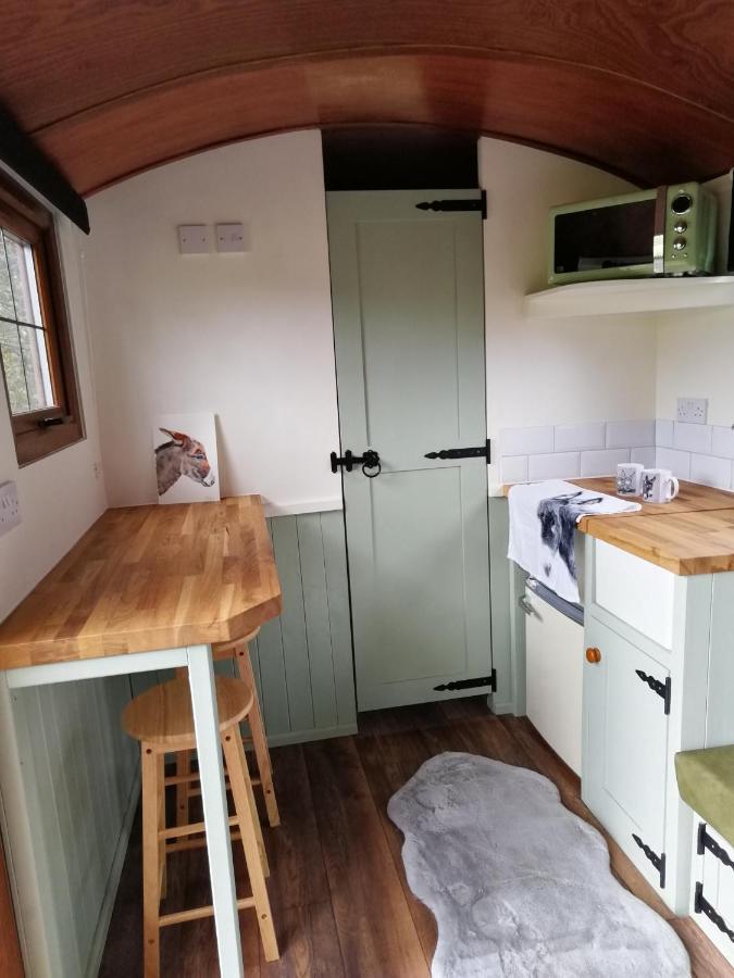 Hotel Durham Donkey Rescue Shepherd'S Hut Exteriér fotografie