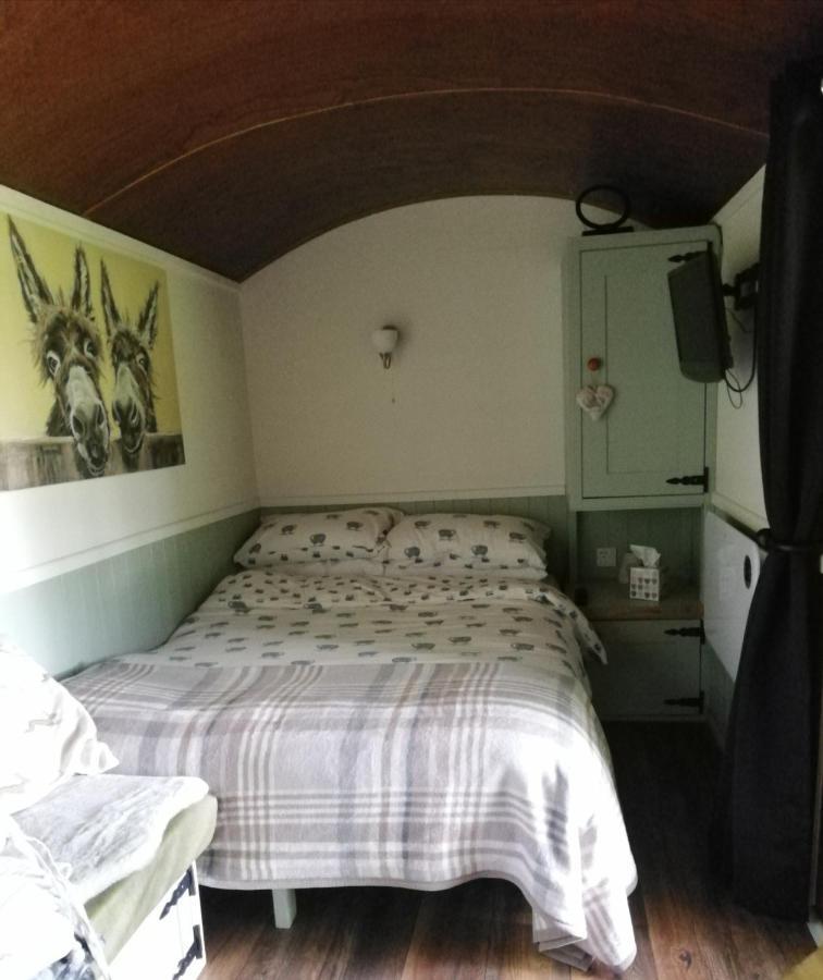Hotel Durham Donkey Rescue Shepherd'S Hut Exteriér fotografie