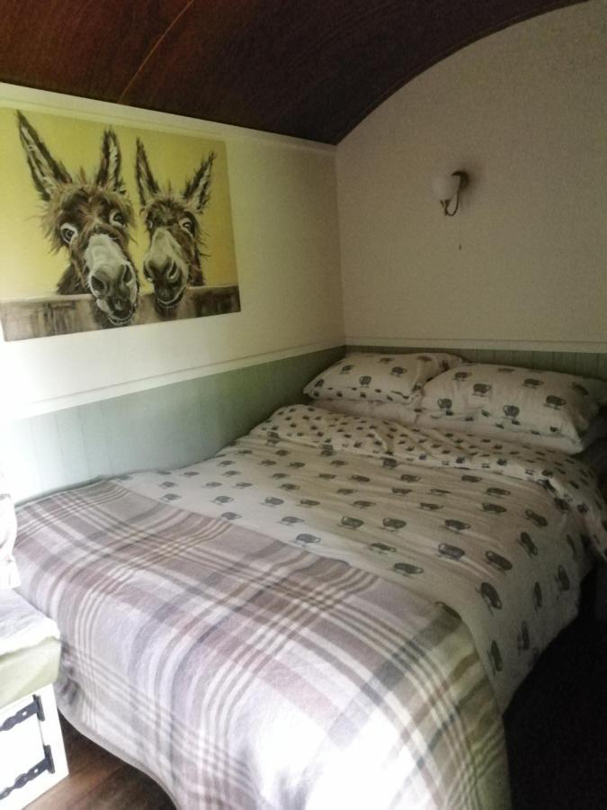 Hotel Durham Donkey Rescue Shepherd'S Hut Exteriér fotografie