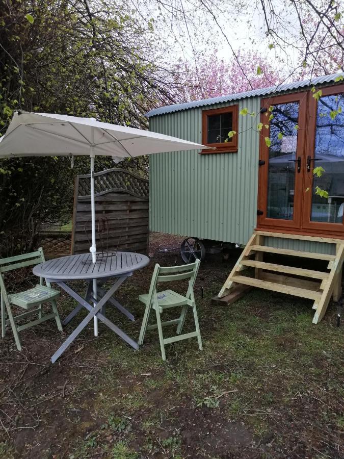 Hotel Durham Donkey Rescue Shepherd'S Hut Exteriér fotografie