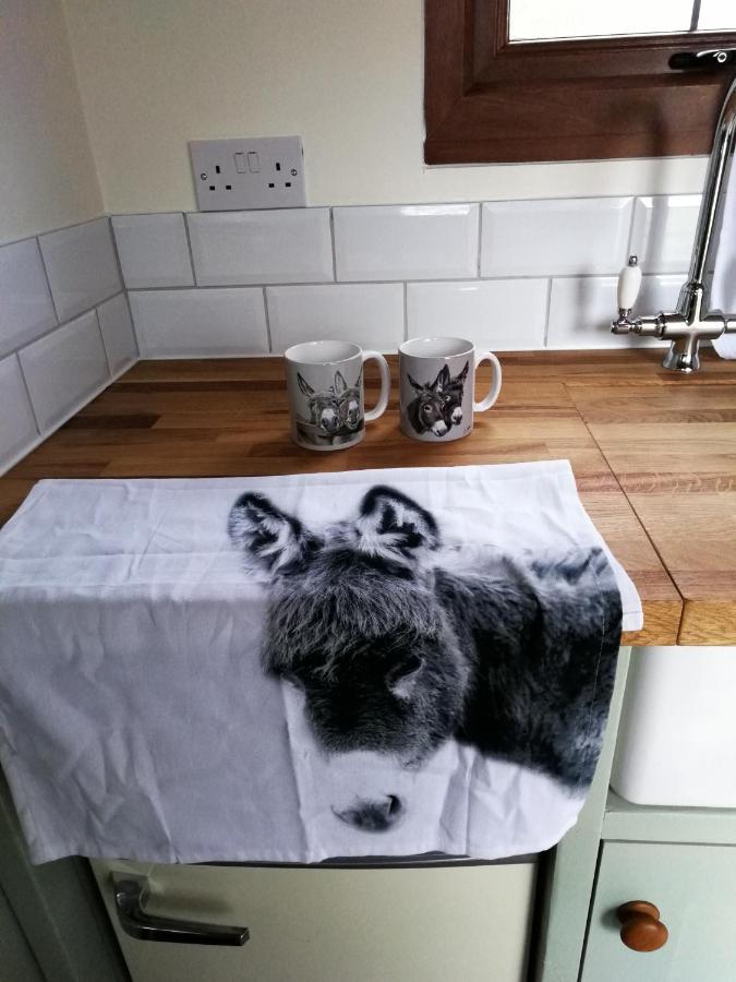 Hotel Durham Donkey Rescue Shepherd'S Hut Exteriér fotografie