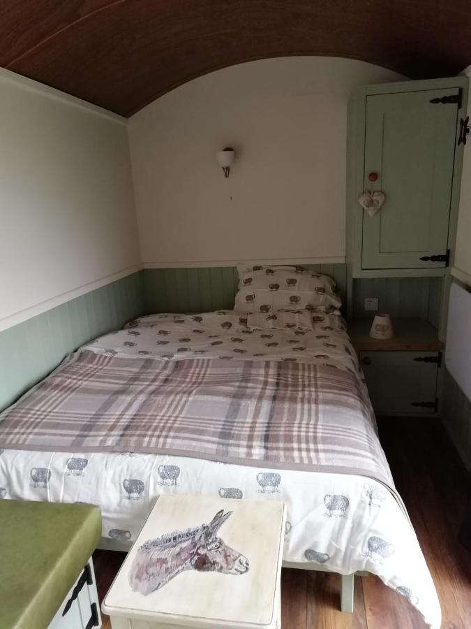 Hotel Durham Donkey Rescue Shepherd'S Hut Exteriér fotografie